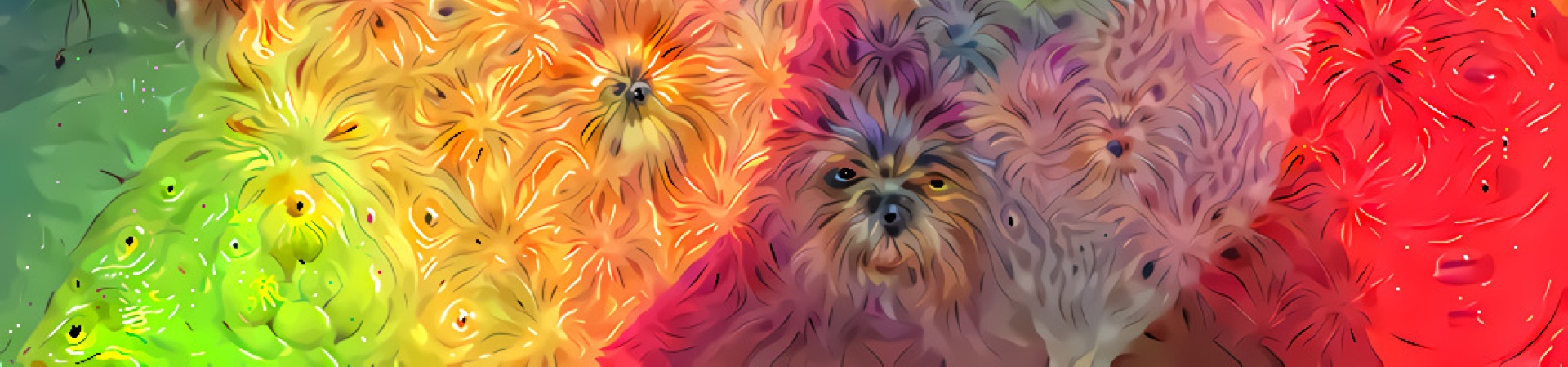 The Dogs Of Image Recognition - Possibility 