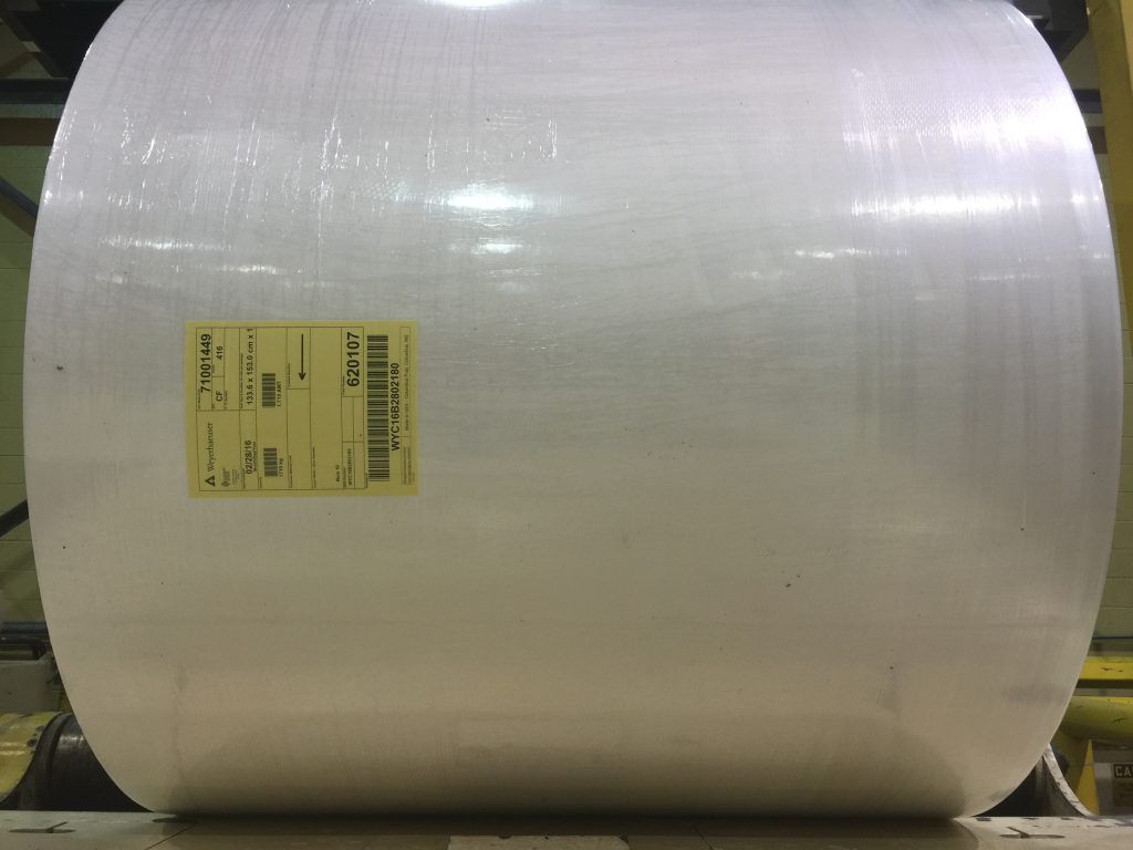 Plastic Shrink Wrapped Paper Roll Inspection