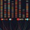 Advancing genome sequencing at the speed of light