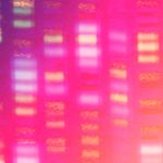 DNA Sequencing is Getting Faster, More Accurate and Mobile