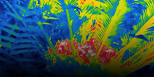 Using thermal cameras prompts discovery of new exothermic plants